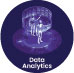 Data Analytics Training Course Logo
