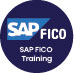 SAP Finance and Controlling Training Course Logo